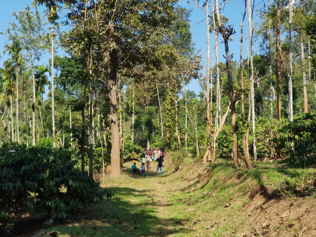 MeenangadiThe Suvistara Wayanad Kerala住宿加早餐旅馆 外观 照片