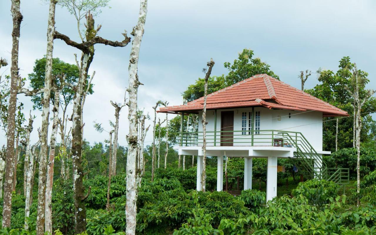 MeenangadiThe Suvistara Wayanad Kerala住宿加早餐旅馆 外观 照片